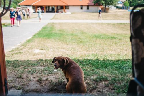 kolonie teatralne fot kamil cichon (018)